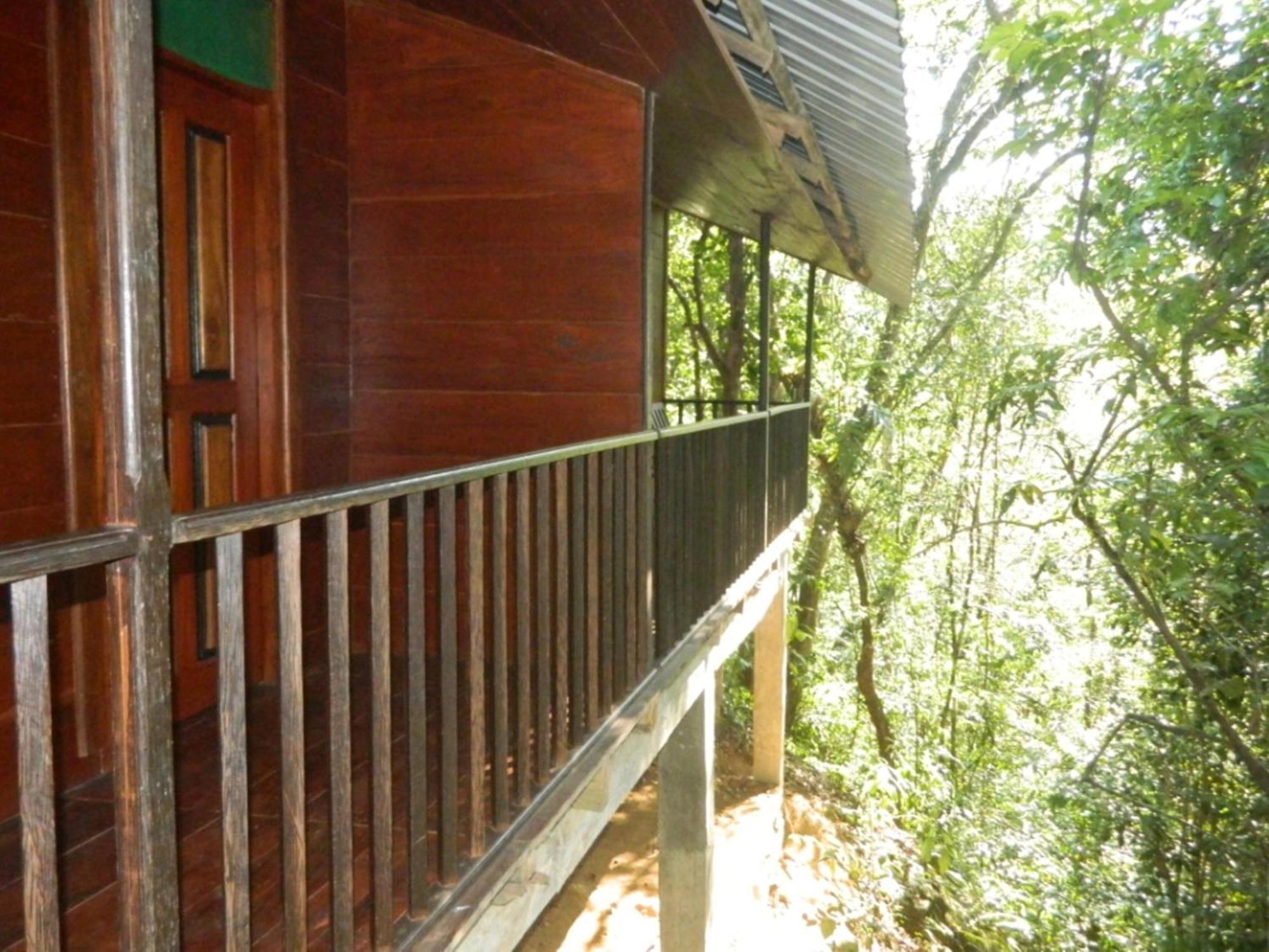 Birds Paradise Hotel Kudawe Habitación foto